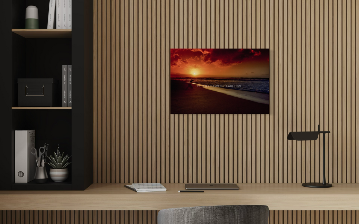 Sunset Favourite displayed on a timber slat wall above a desk. Peter Crawford Archive.