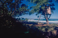 North Shore tree house scene in Hawaii in 1978, photographed by Peter Crawford.