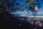 North Shore tree house scene in Hawaii in 1978, photographed by Peter Crawford.