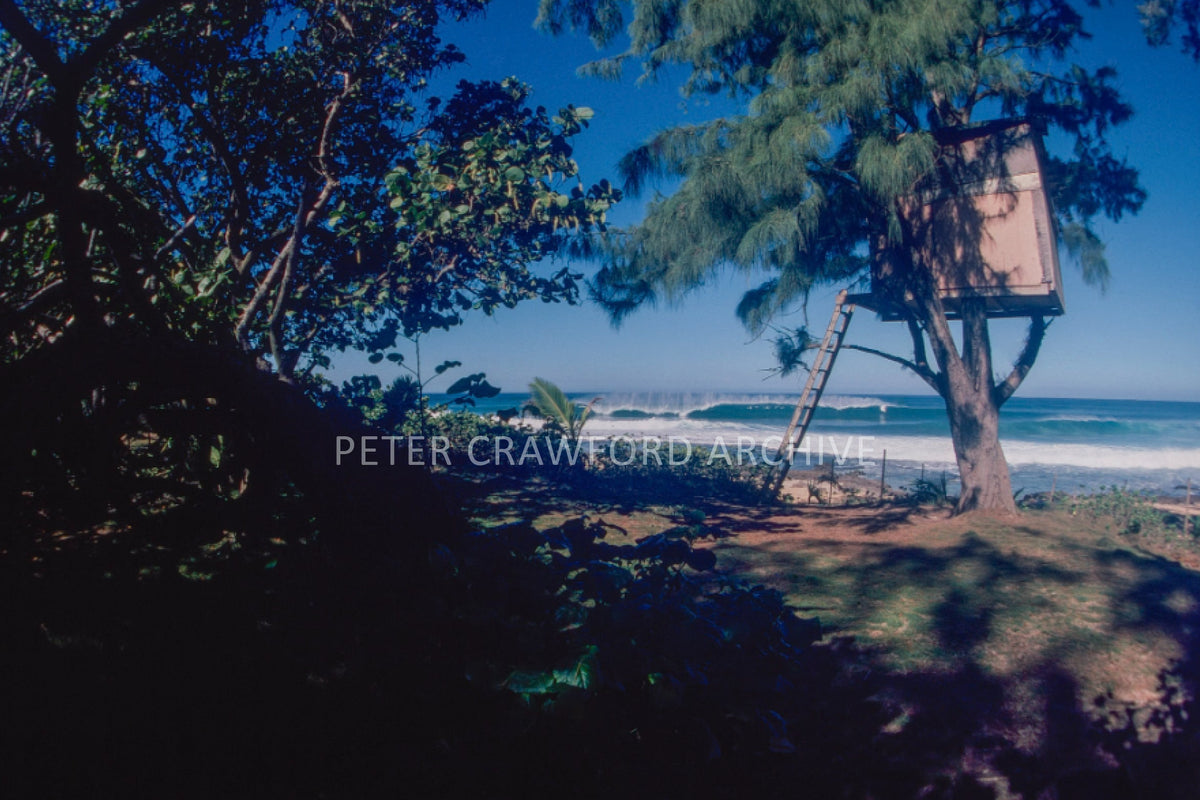 North Shore tree house scene in Hawaii in 1978, photographed by Peter Crawford.
