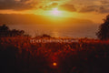 Waimea Bay dusk on the North Shore of Hawaii, photographed by Peter Crawford.