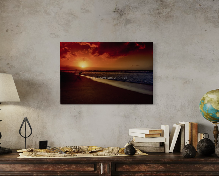 Sunset Favourite displayed above a timber sideboard against a concrete wall. Peter Crawford Archive.