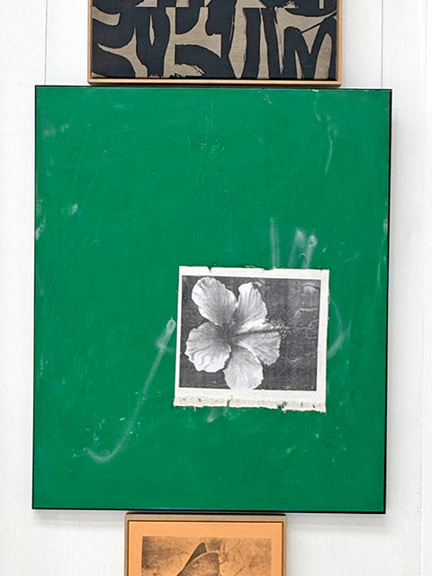 High Biscus by Steve Gorrow: a small monochrome hibiscus image on a deep green background — gallery view.