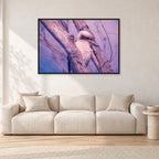 Kookaburra, 1975 by Peter Crawford — 120 × 80 cm, black frame, shown in a light minimalist living room.