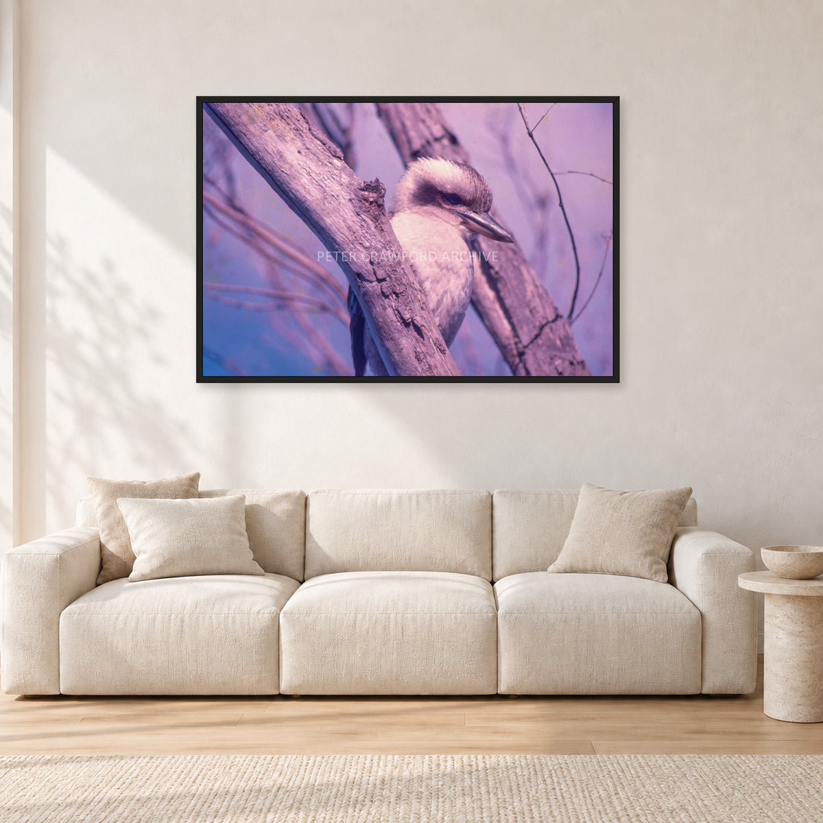 Kookaburra, 1975 by Peter Crawford — 120 × 80 cm, black frame, shown in a light minimalist living room.