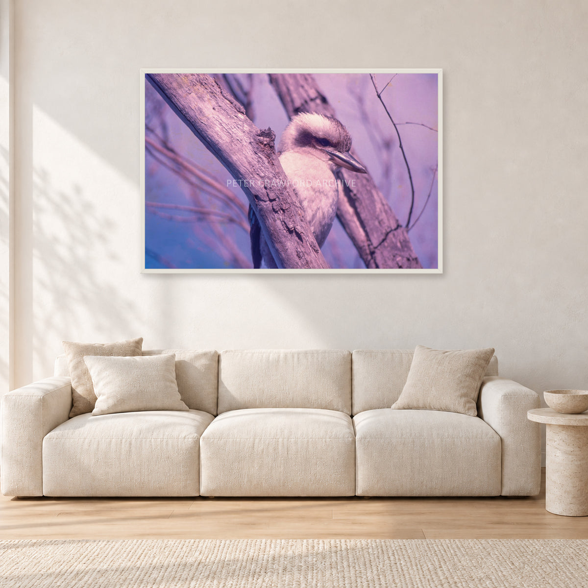 Kookaburra, 1975 by Peter Crawford — 120 × 80 cm, white frame, shown in a light minimalist living room.