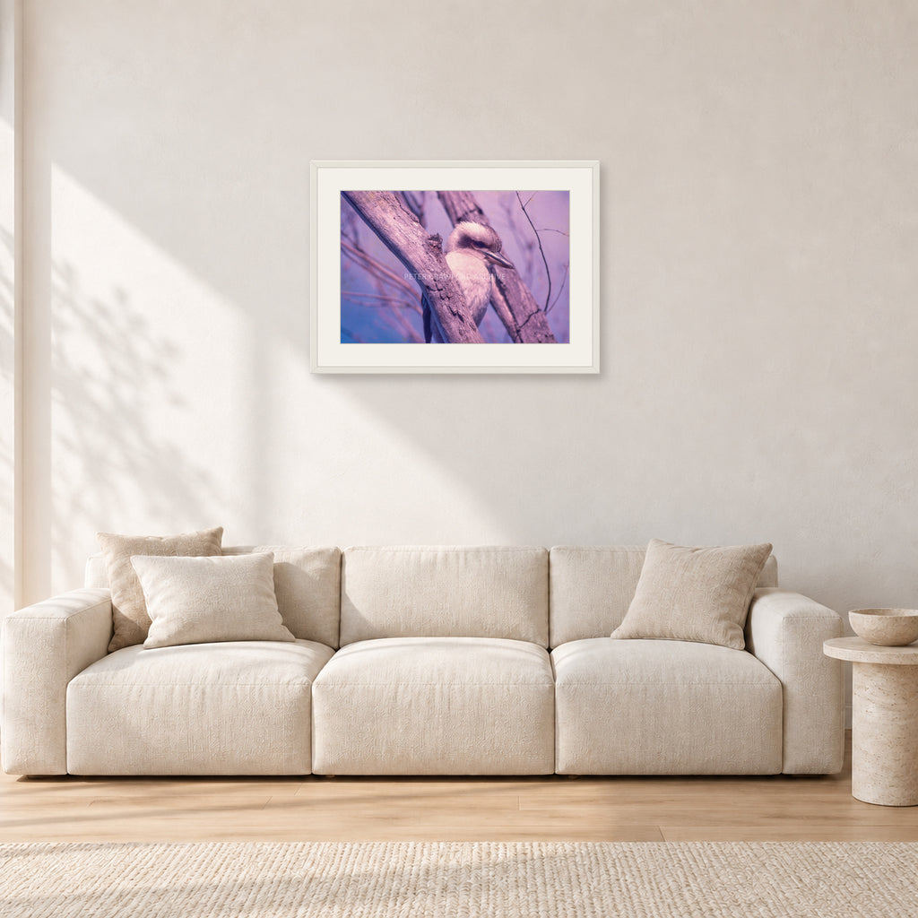 Kookaburra, 1975 by Peter Crawford — 60 × 40 cm, white frame with white mat, shown in a light minimalist living room.