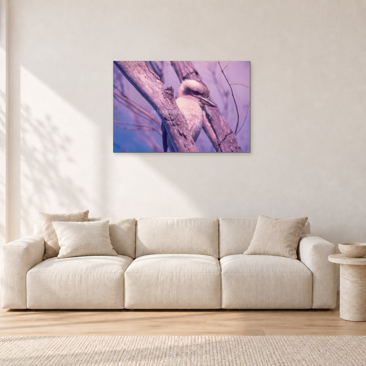 Kookaburra, 1975 by Peter Crawford — 90 × 60 cm, aluminium-mounted resin print, shown in a light minimalist living room.