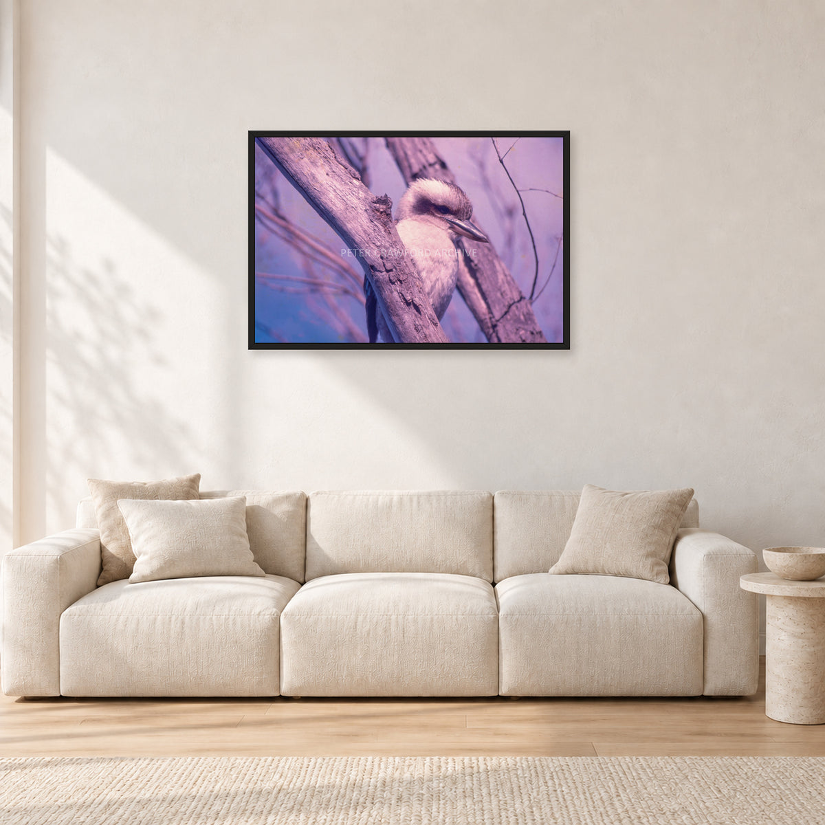 Kookaburra, 1975 by Peter Crawford — 90 × 60 cm, black frame, shown in a light minimalist living room.