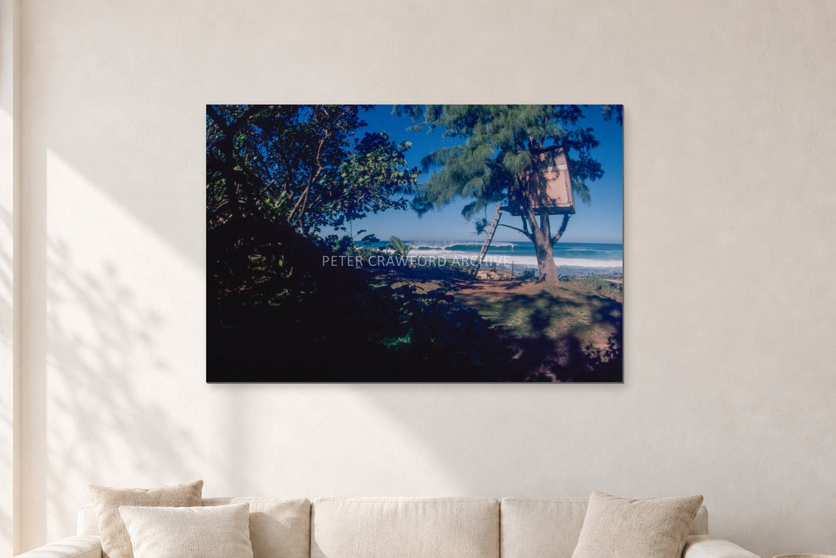 North Shore Tree House, 1978 by Peter Crawford — 120 × 80 cm, aluminium-mounted resin print, shown in a light minimalist living room.