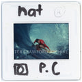 Nat Young rides a barrel at Dee Why Point, holding the outside rail as he sets his line. Peter Crawford Archive.