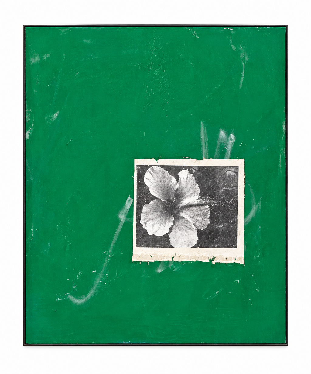 High Biscus by Steve Gorrow: a small monochrome hibiscus image on a deep green background.