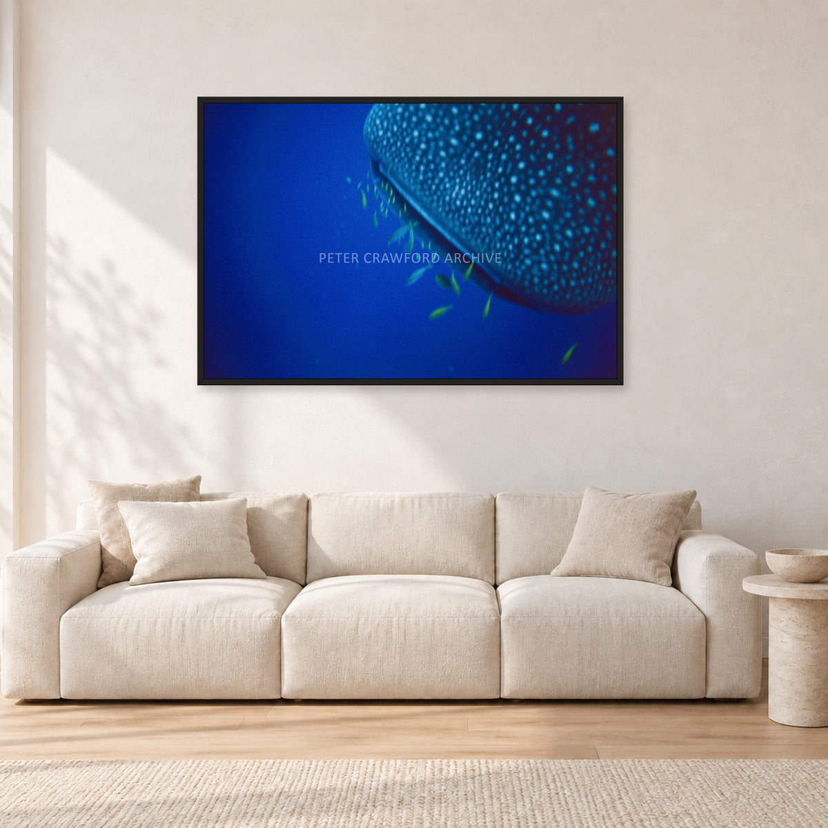 Whale Shark Feeders by Peter Crawford — 120 × 80 cm, black frame, shown in a light minimalist living room.