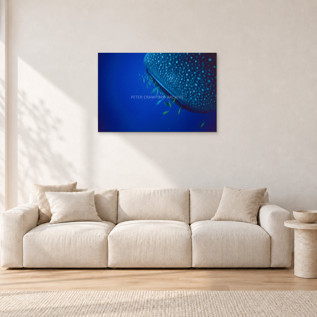 Whale Shark Feeders by Peter Crawford — 90 × 60 cm, aluminium-mounted resin print, shown in a light minimalist living room.
