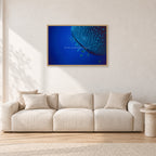 Whale Shark Feeders by Peter Crawford — 90 × 60 cm, hayseed frame, shown in a light minimalist living room.