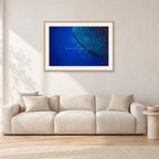 Whale Shark Feeders by Peter Crawford — 90 × 60 cm, hayseed frame with white mat, shown in a light minimalist living room.